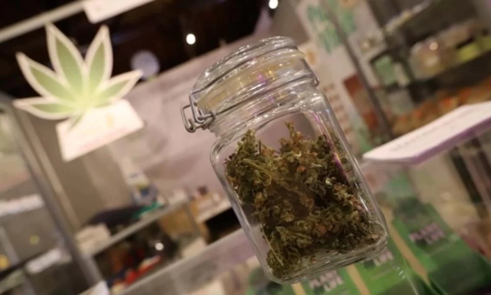 Θεσσαλονίκη: Ισραηλινοί επενδυτές επενδύουν 6 εκατ. ευρώ στην βιομηχανική κάνναβη